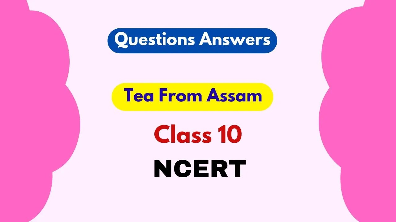 Tea from Assam Class 10 Questions and Answers 2024