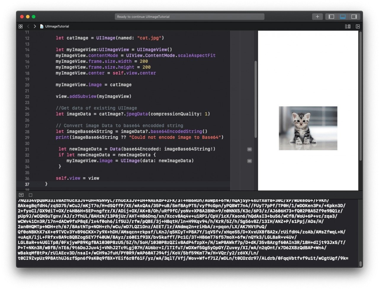 UIImage Base64 Encoding and Decoding in Swift Apps Developer Blog