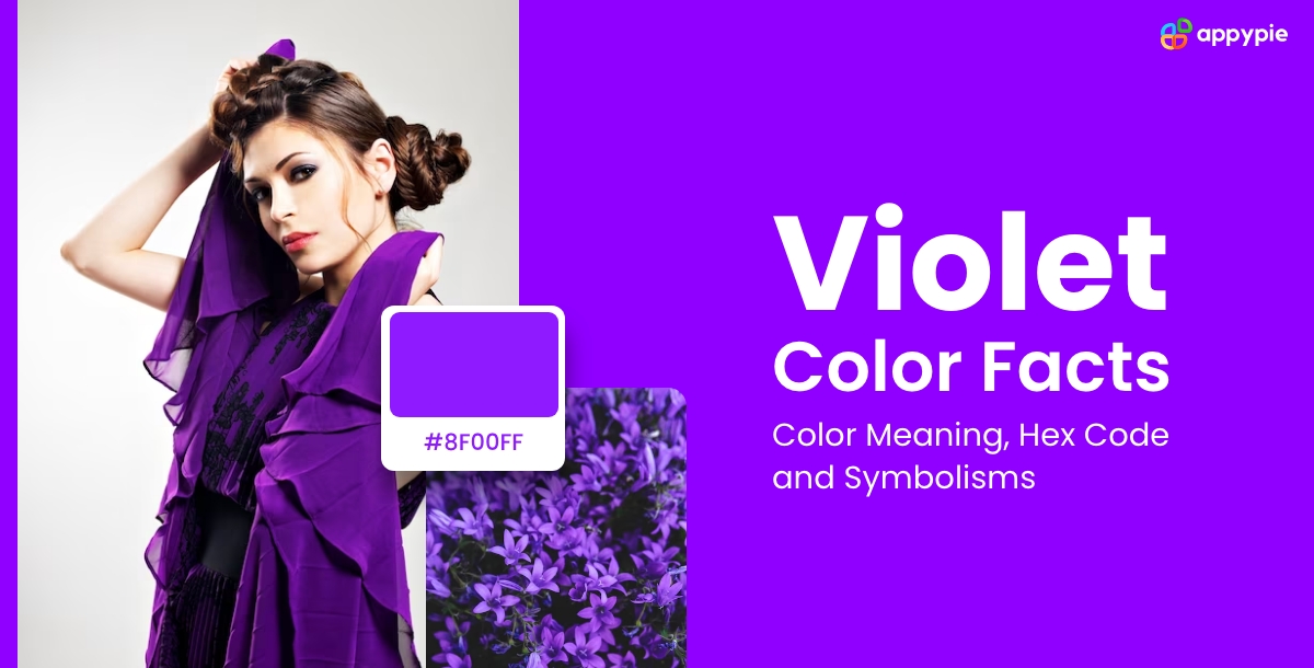 Violet Color Shades, Meaning, Hex Code, and Combinations