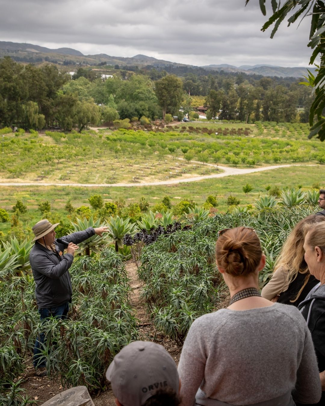 Farm Tours & Events Apricot Lane Farms