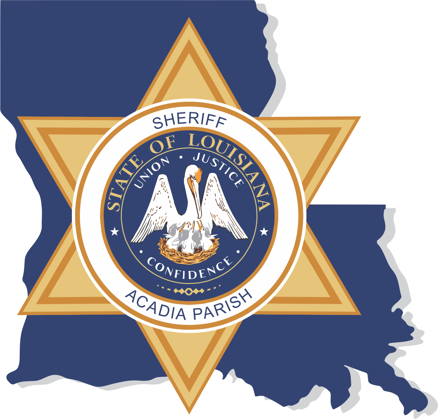 Apso Jail Roster Corrections