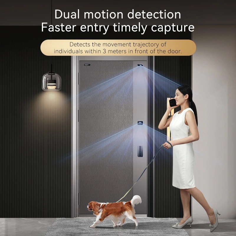 Modern Main Gate Door Design Exterior Iron Door Smart Lock Front Entry