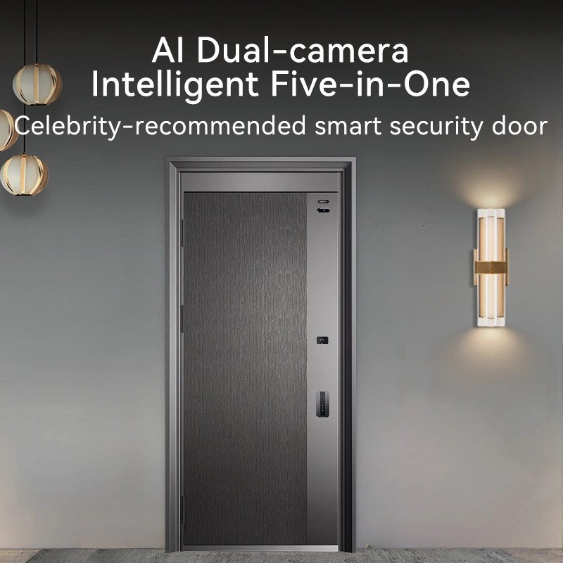 Modern Main Gate Door Design Exterior Iron Door Smart Lock Front Entry
