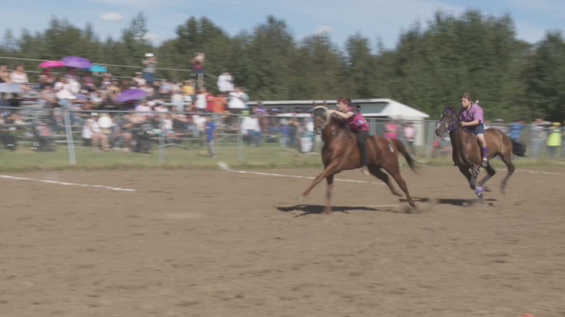 Indian Relay Races 2024 Schedule Saskatchewan Prairie First Nations hit the ground running with Indian relay races