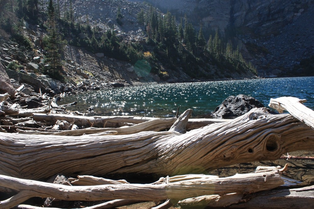 Colorado's MustSee National Parks Apts Denver