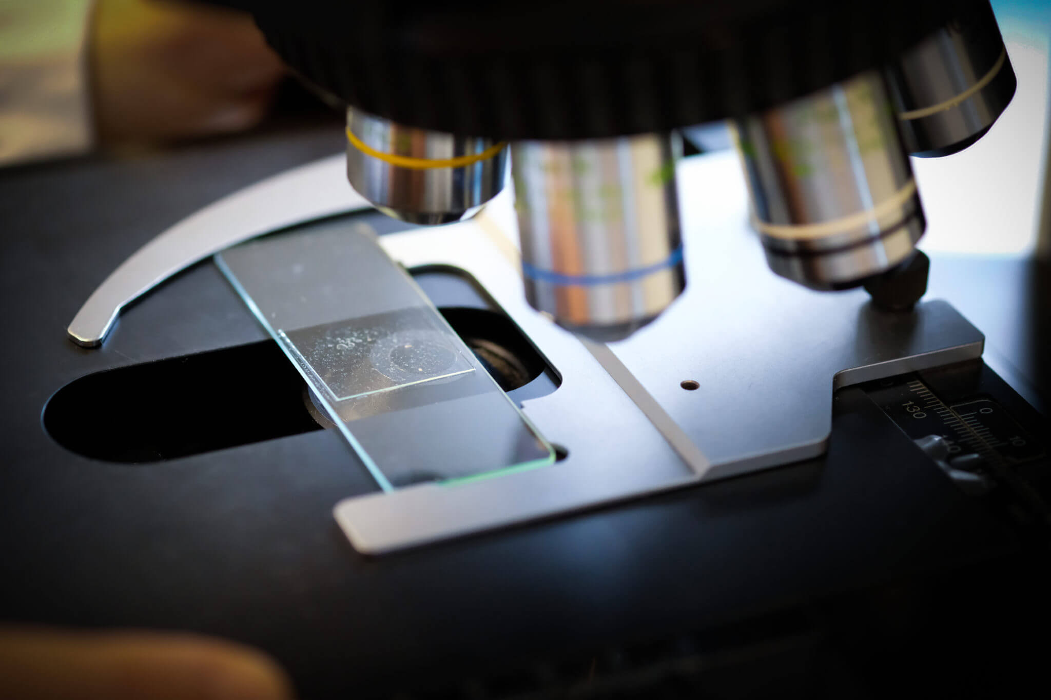 Microscope and slide 2 AquaEnviro