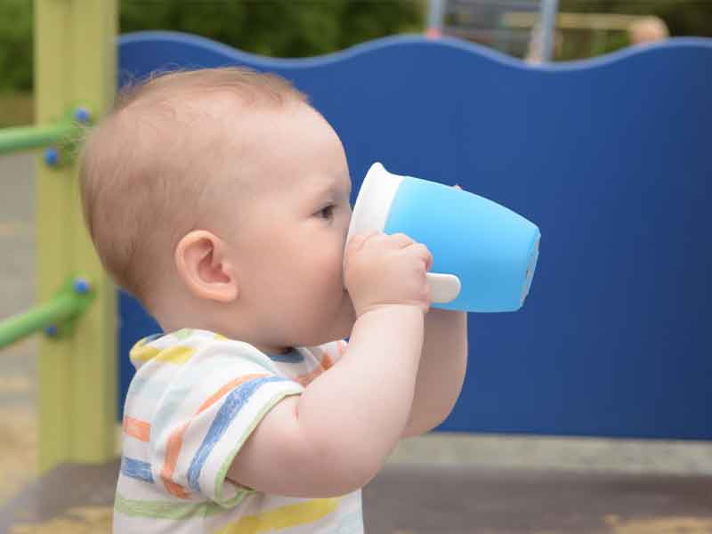Can you use a Brita filter for baby formula All about Water
