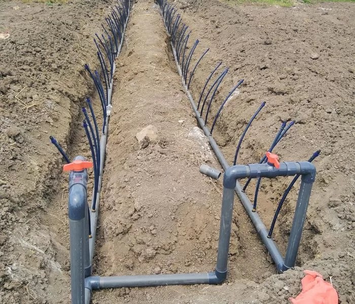 Cost of Drip Irrigation Per Acre Aqua Hub Kenya