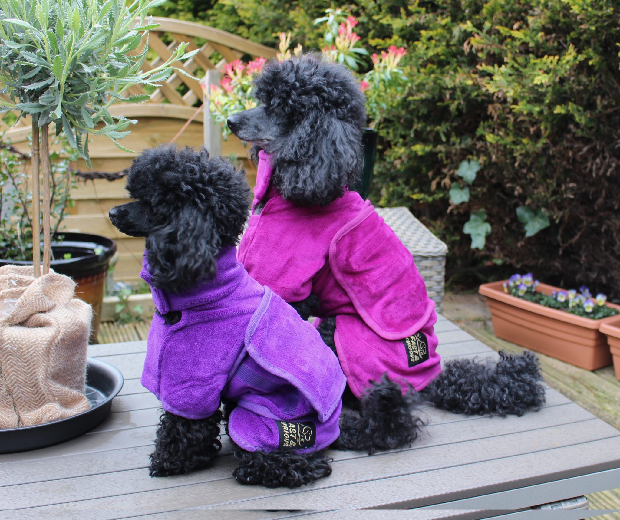 Water Master Ltd Drying Coat for Dogs Water Master Ltd Drying Coat