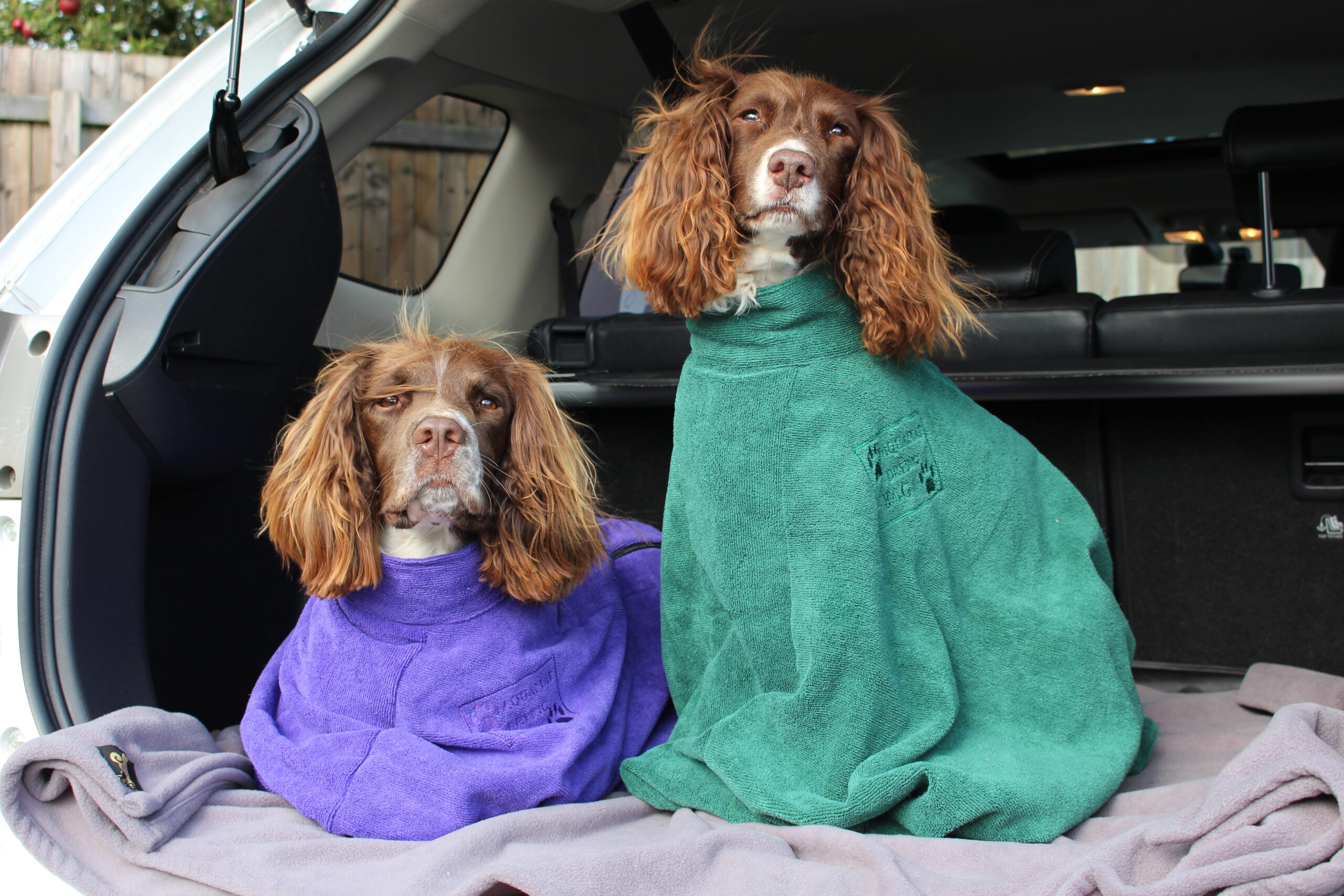 Drying bag for dogs microfibre using Aquafibre® Water Master Ltd