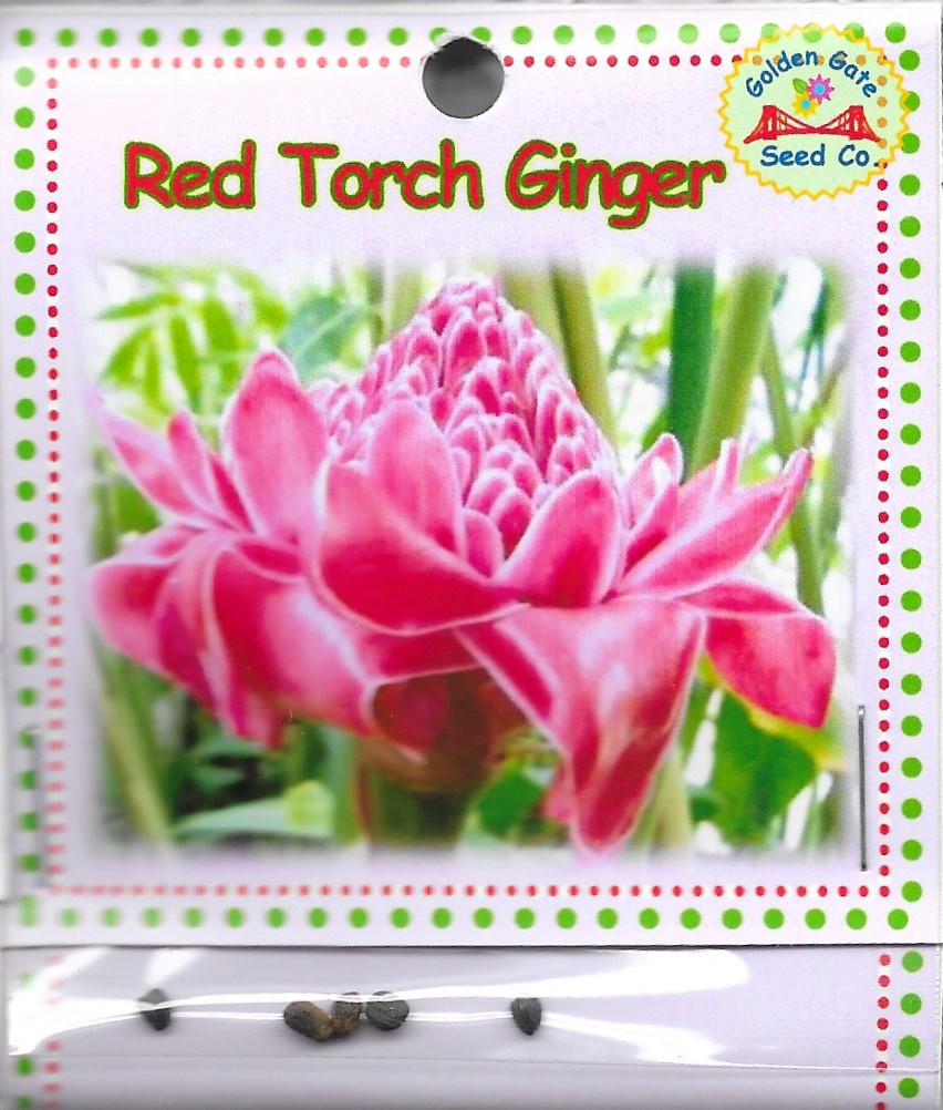 Red Torch GingerGolden Gate Seed Co. Aquaponic Lynx LLC