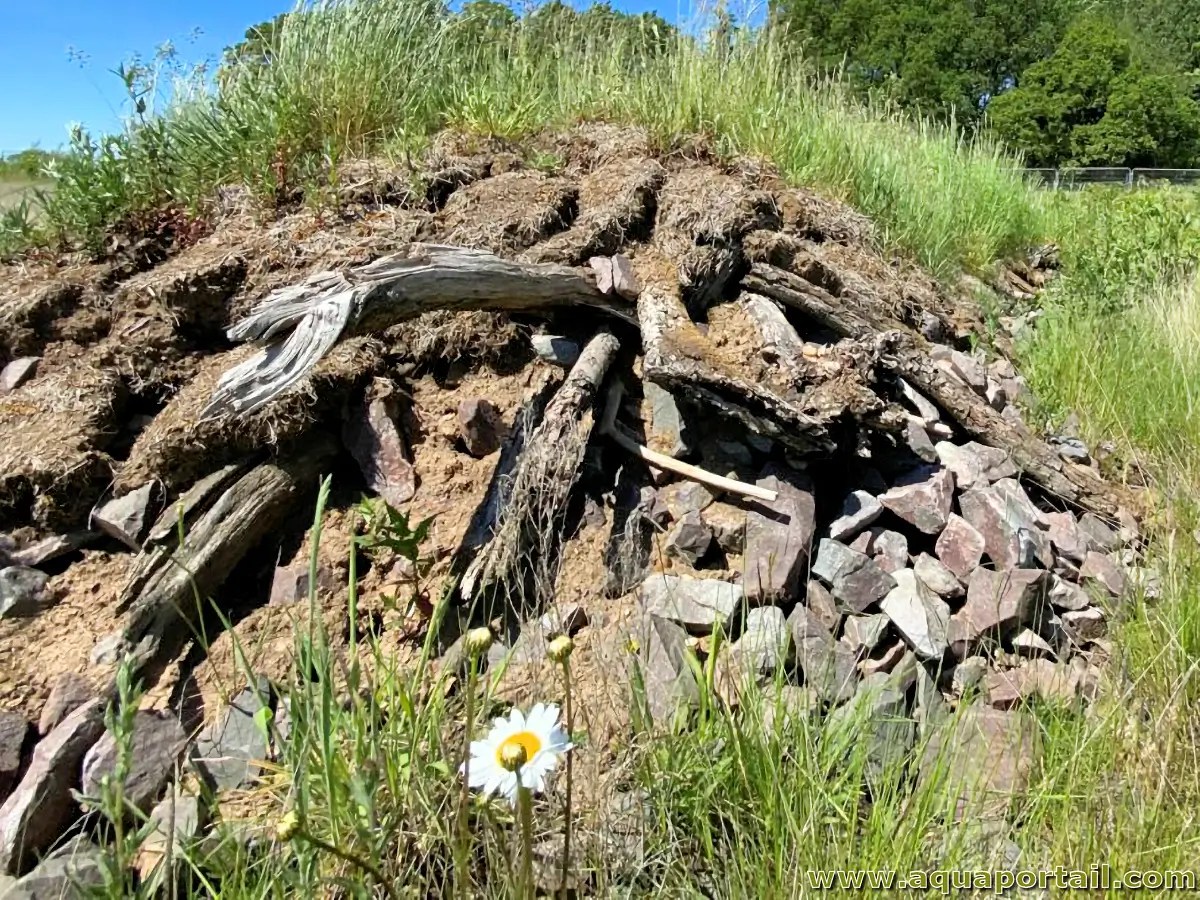 Hibernaculum définition et explications