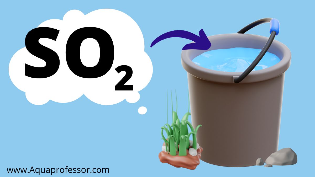 How To Dechlorinate Tap Water For Drinking, Fish, & Plants (2024