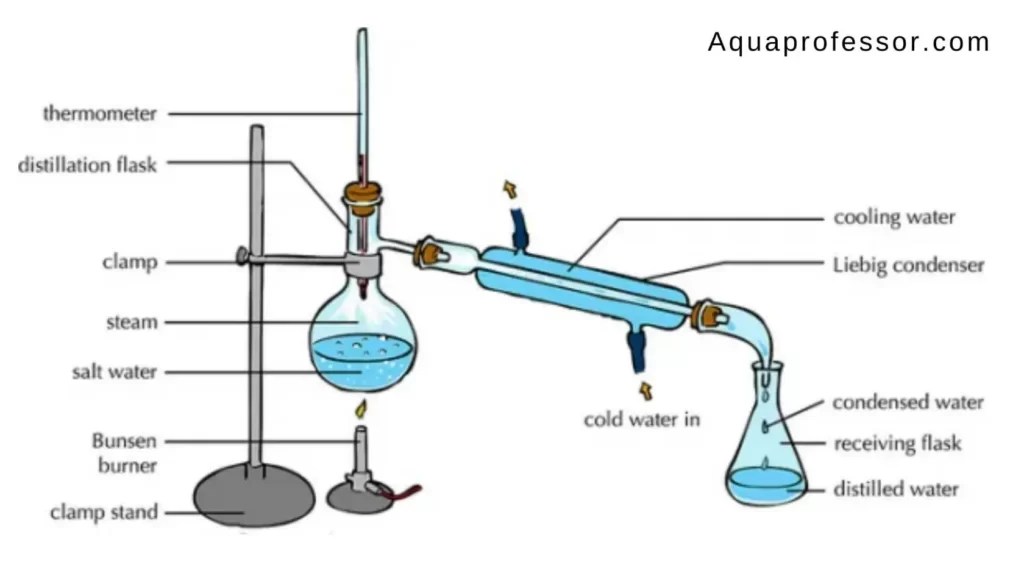 Does Boiling Water Remove Chlorine? (Here's The Truth!)