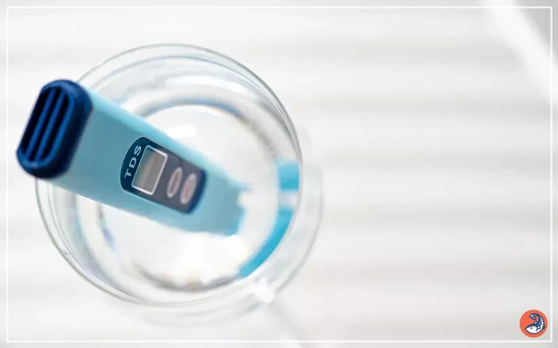 How to Test Fish Tank Water? Guide for Beginners AquariumNexus