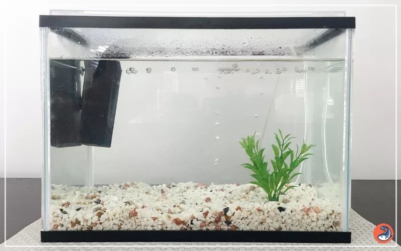 Standard Aquarium Sizes and Weights Guide for Beginners AquariumNexus