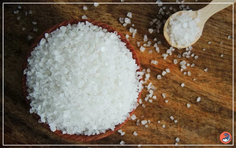 Salt Bath for Goldfish Healing Your Fish Naturally AquariumNexus