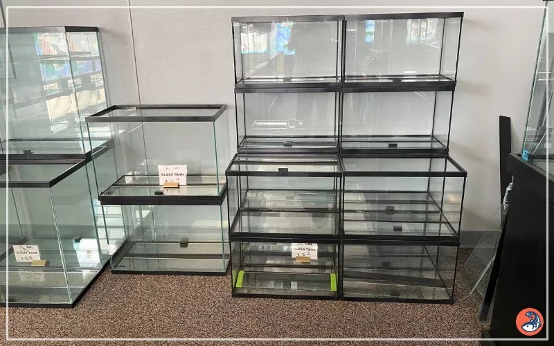 40 Gallon Tank Dimensions Comprehensive Guide AquariumNexus