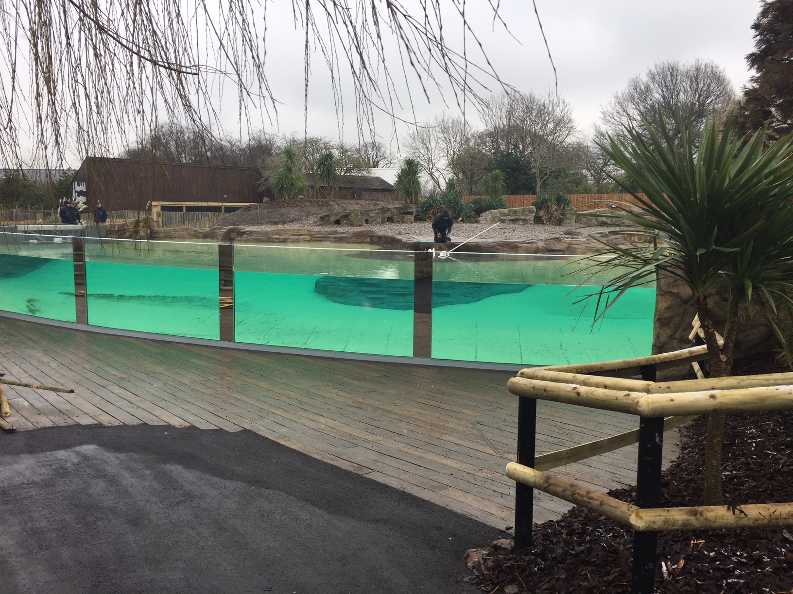 Chester zoos penguin island Leaders in Aquarium Technology