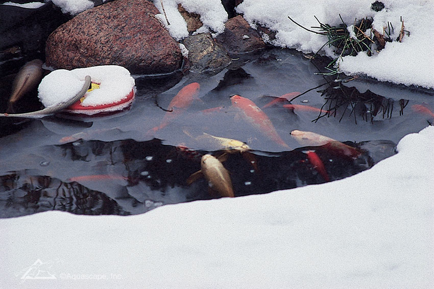 How to Maintain a Running Winter Pond Aquascape, Inc.