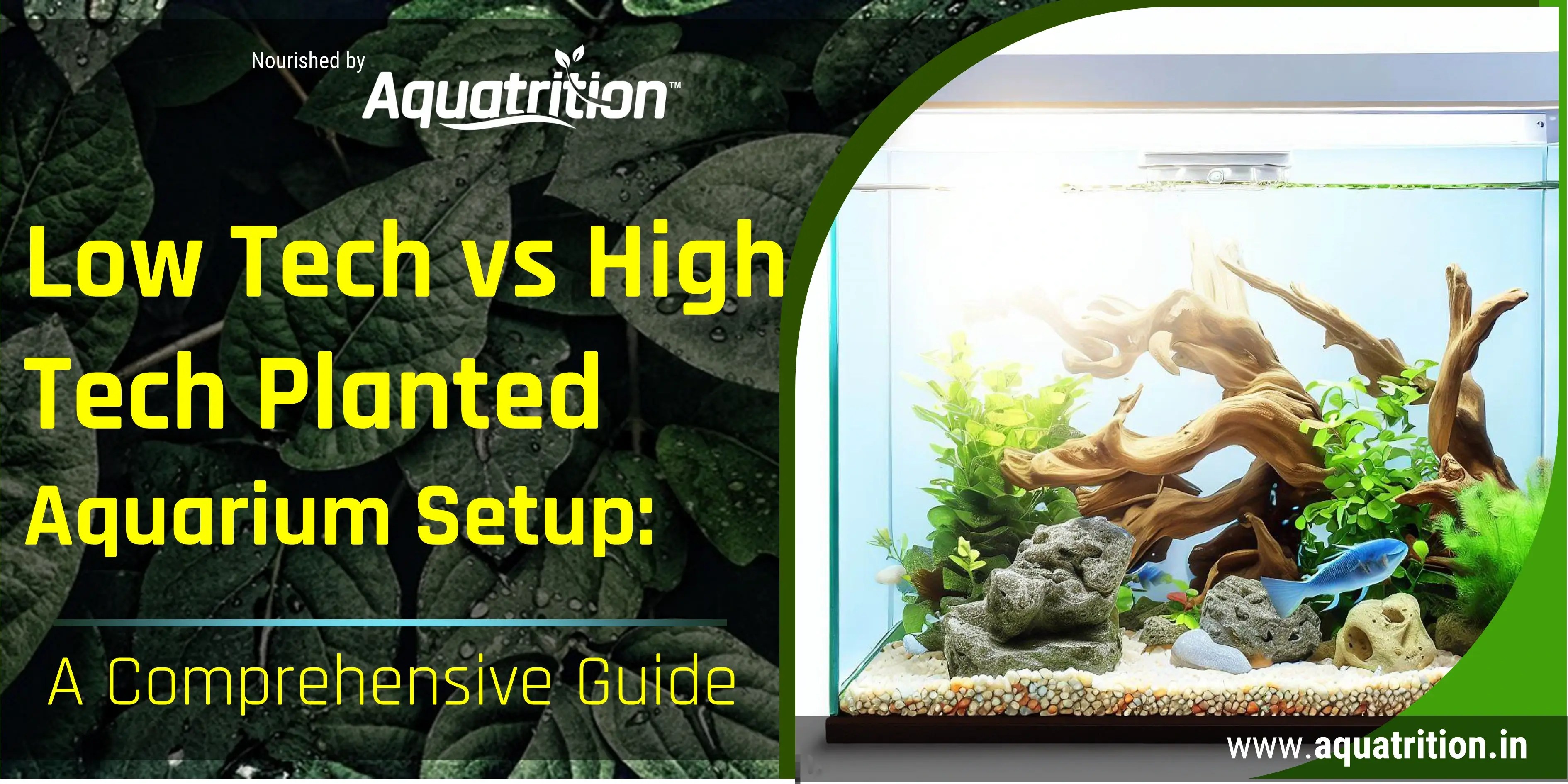 Low Tech vs High Tech Planted Aquariums Guide Aquatrition