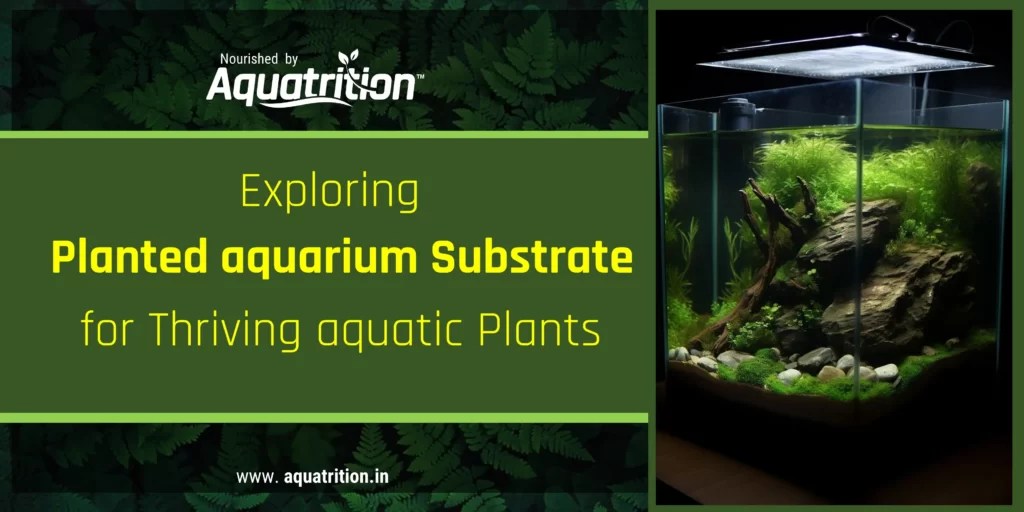 Understanding Planted Aquarium Substrate Aquatrition