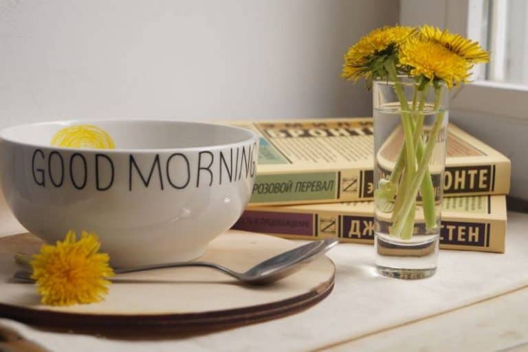 100+ Ways to say GOOD MORNING in Different Languages around the World