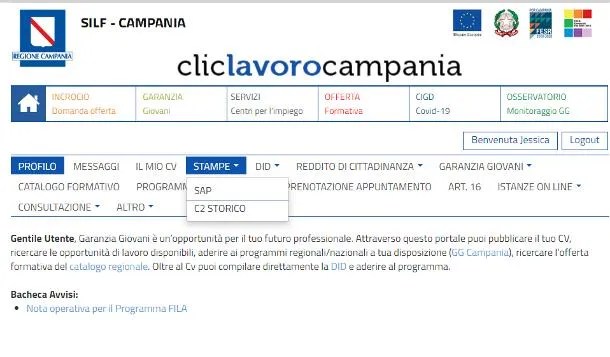 Come Richiedere La Scheda Anagrafica Online | Salvatore Aranzulla 357_x_610_jpg