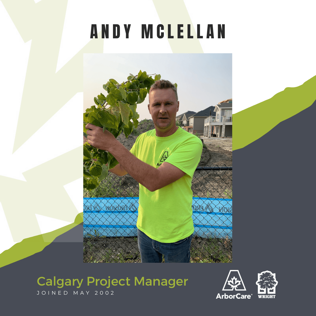 Andy McLellan Employee Spotlight ArborCare®