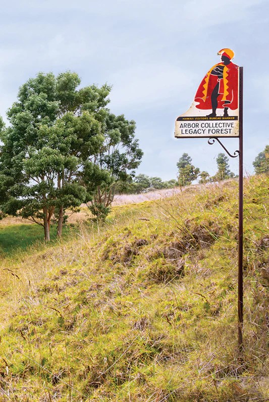 Binding Size Chart – Arbor Collective