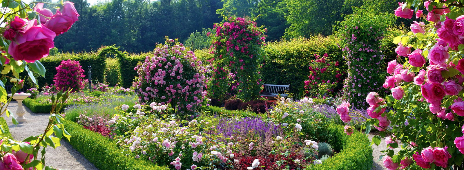 Landscape Design Oklahoma City, OK Arbor Tree Care