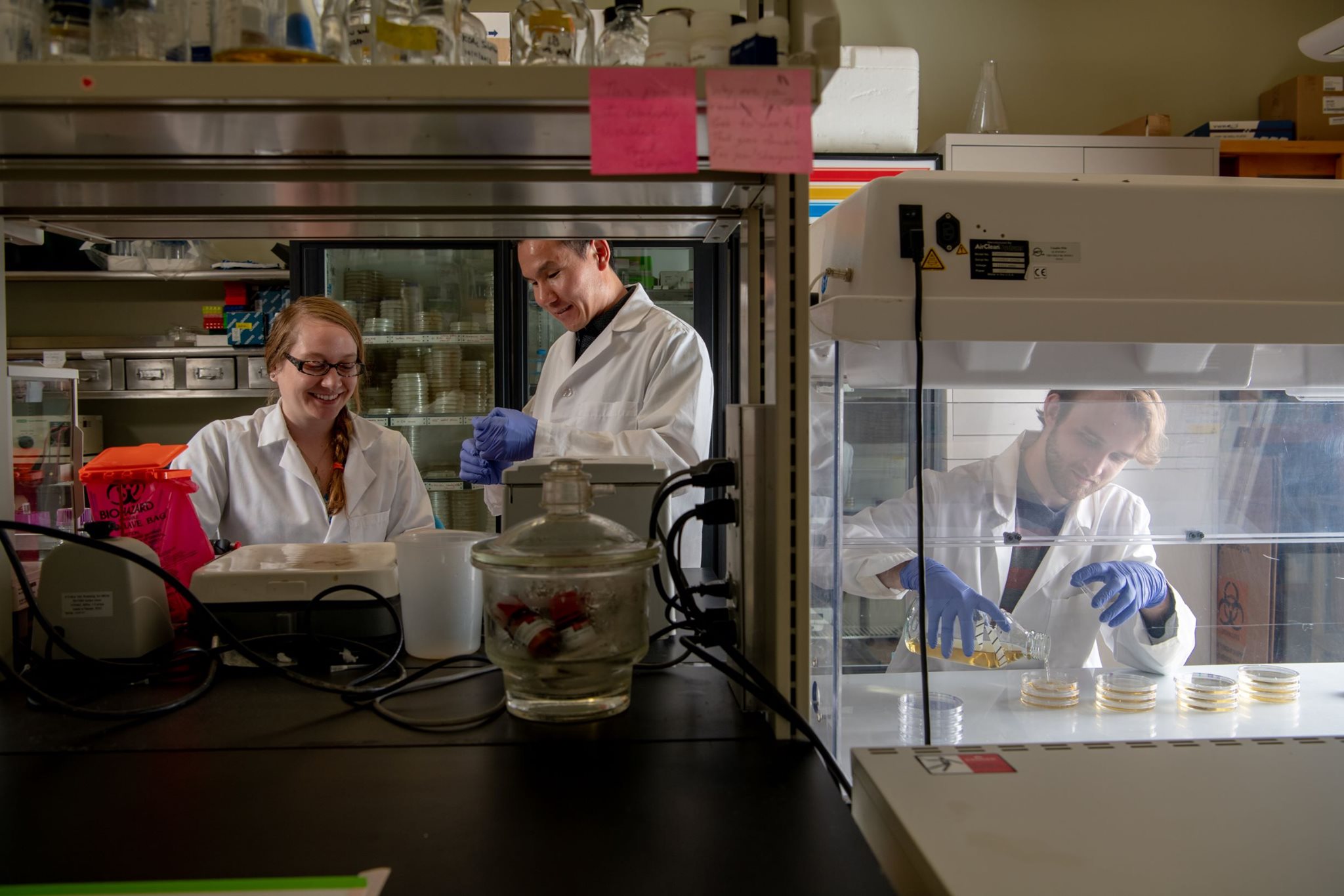 Biotechnology And Genetic Engineering Ohio University