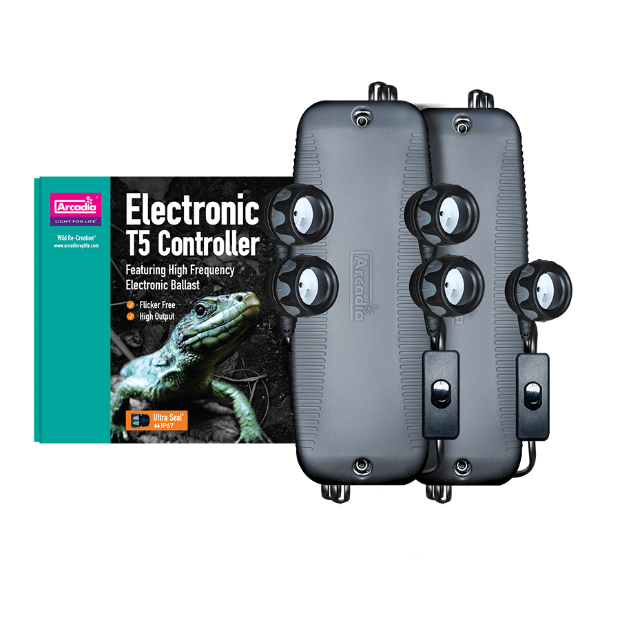 Electronic Controller Arcadia Reptile