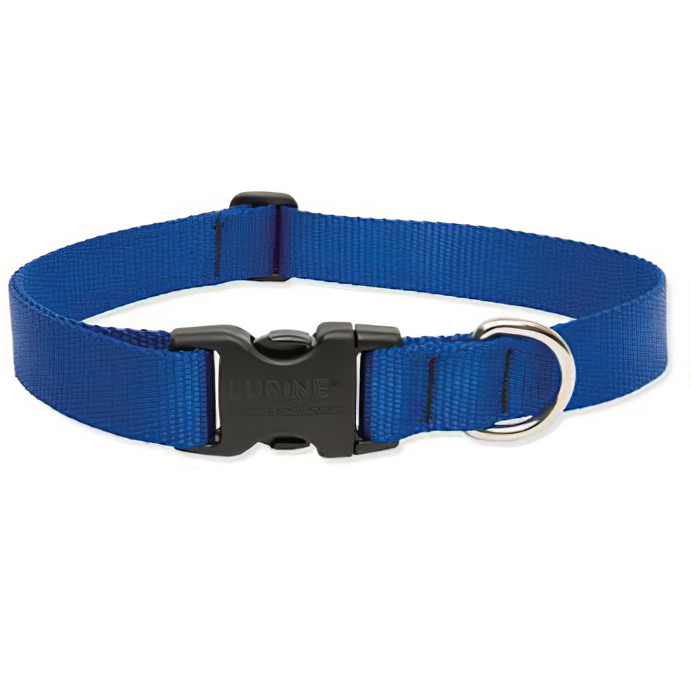 Lupine Nylon Dog Collar Adjustable Blue 914 inch
