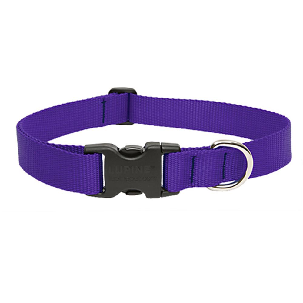 Lupine Nylon Dog Collar Adjustable Purple 1628 inch