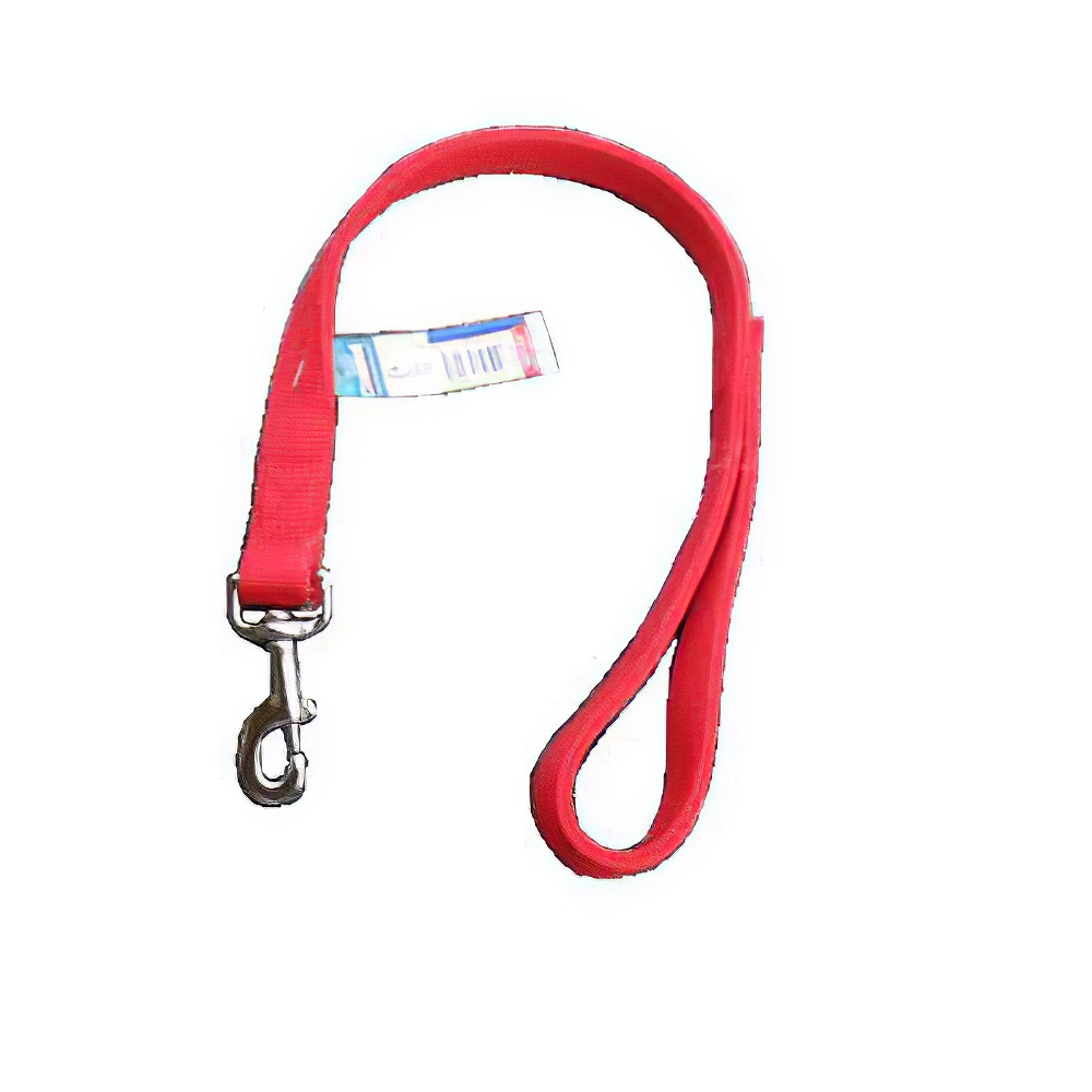 Nylon Dog Traffic Leash 1inch x 2 foot Red