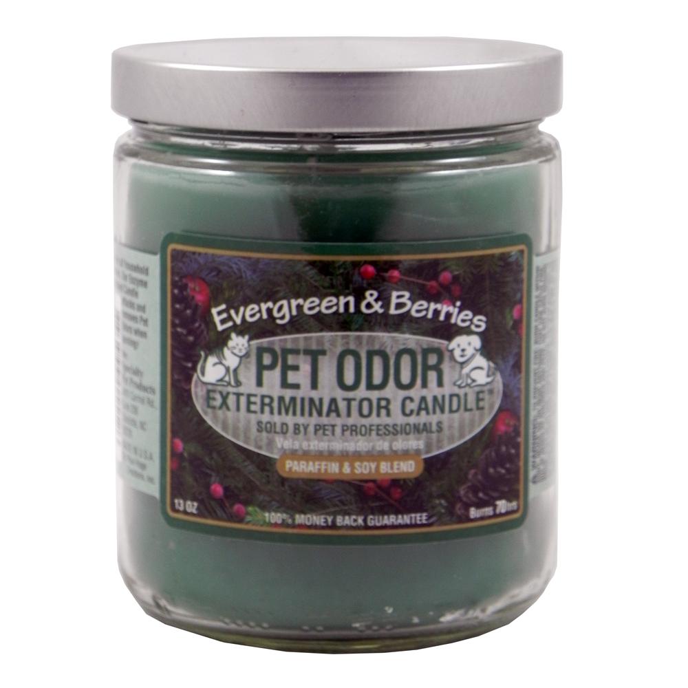 Pet Odor Eliminator Candle EvergreenSeasonal Dog Stain & Odor Removers at Arcata Pet Supplies