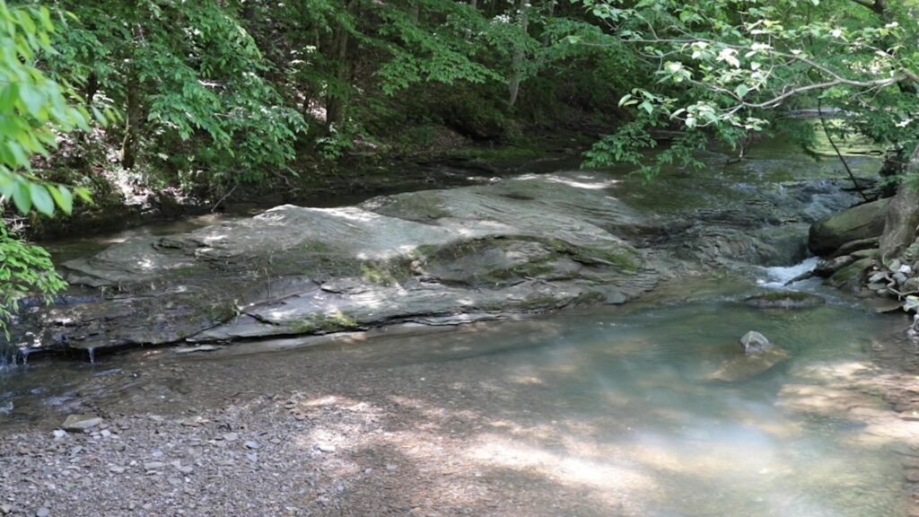 Creekside Addiction Recovery Care