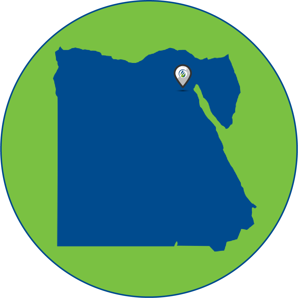 Egypt Office Storage Location in Egypt Arc Energy