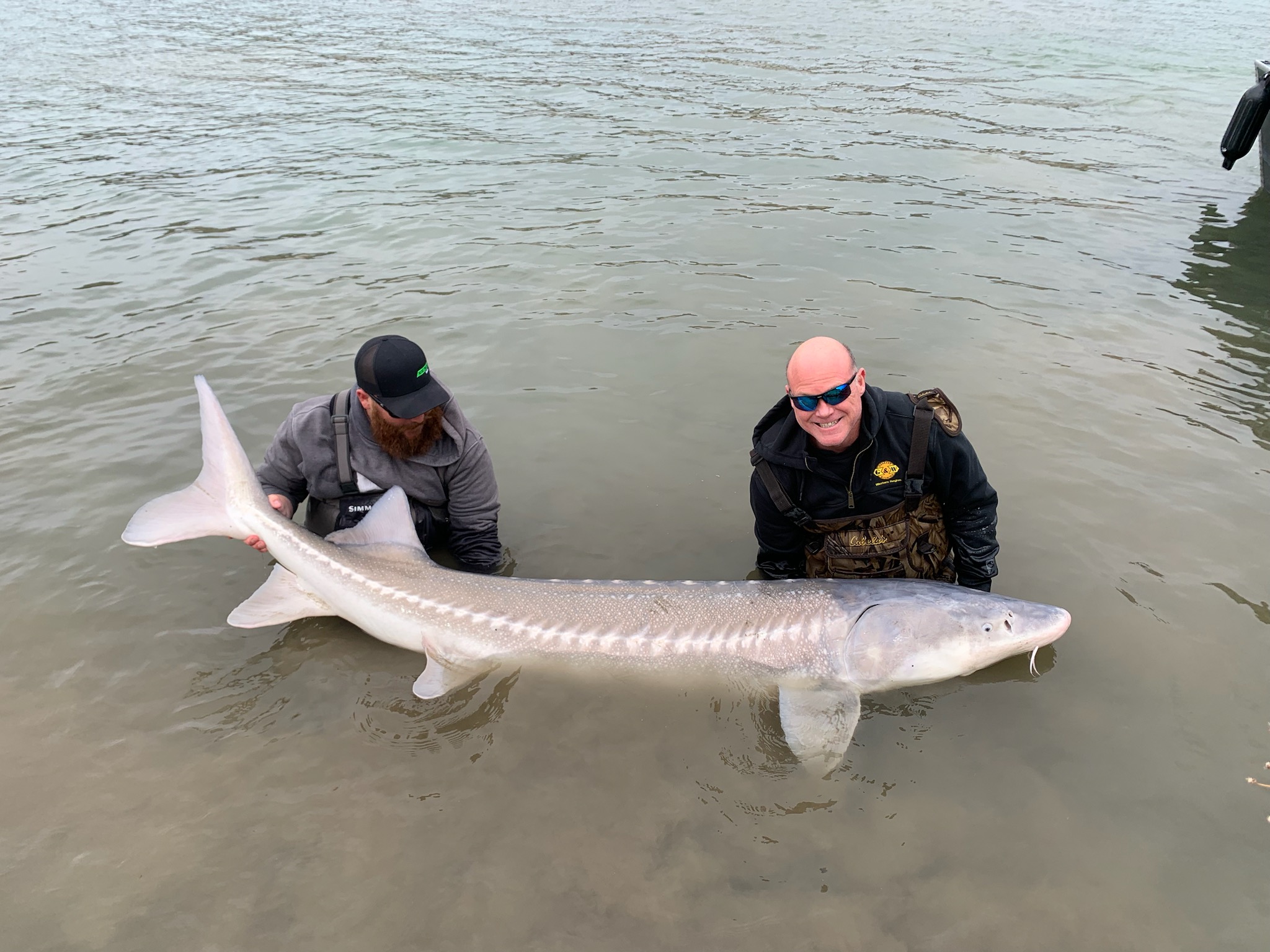 Snake River sturgeon fishing General Discussion ARC Discussion Forums