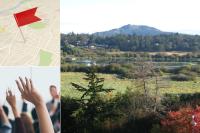 Test Quadra McKenzie Study