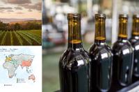 Geography of Wine