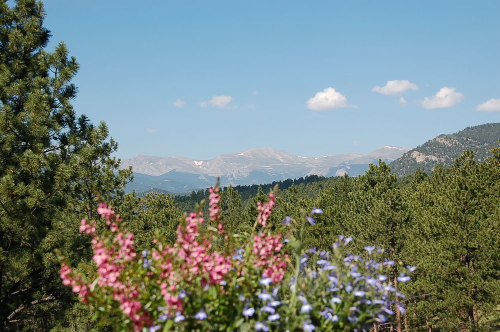 Upper Bear Creek ArchForm Custom Homes