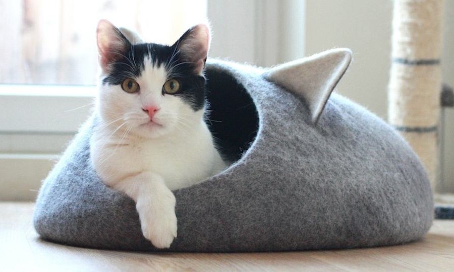 Felted wool cat bed