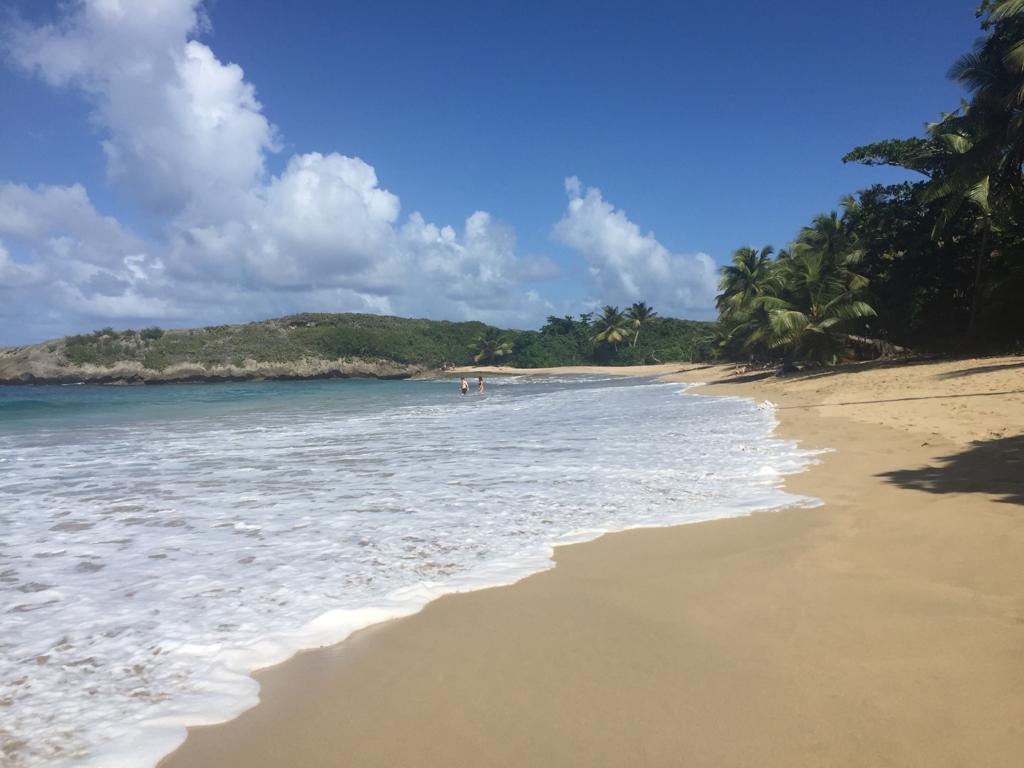 The longest Christmas in the world ArchitectUS