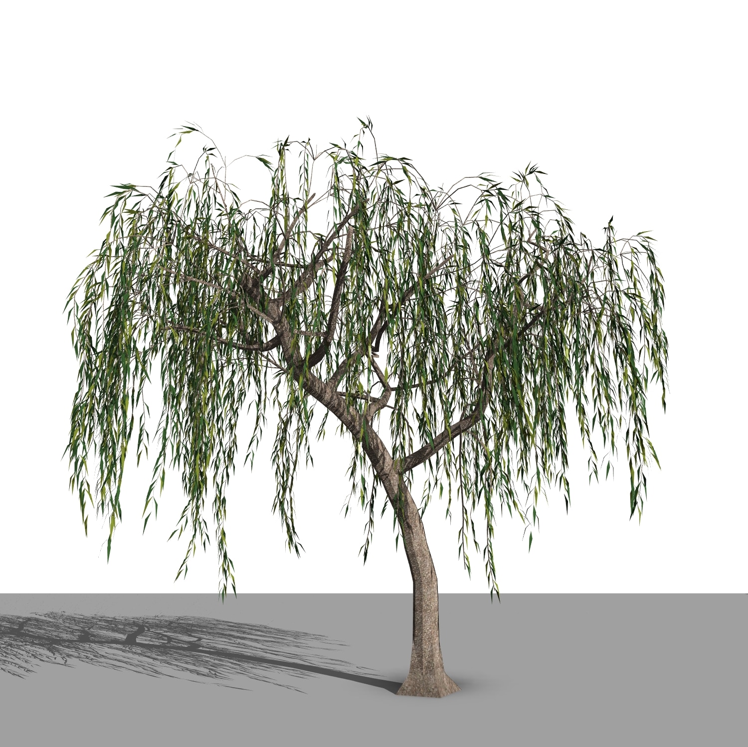 Famille REVIT Arbres paramétriques PACK complet