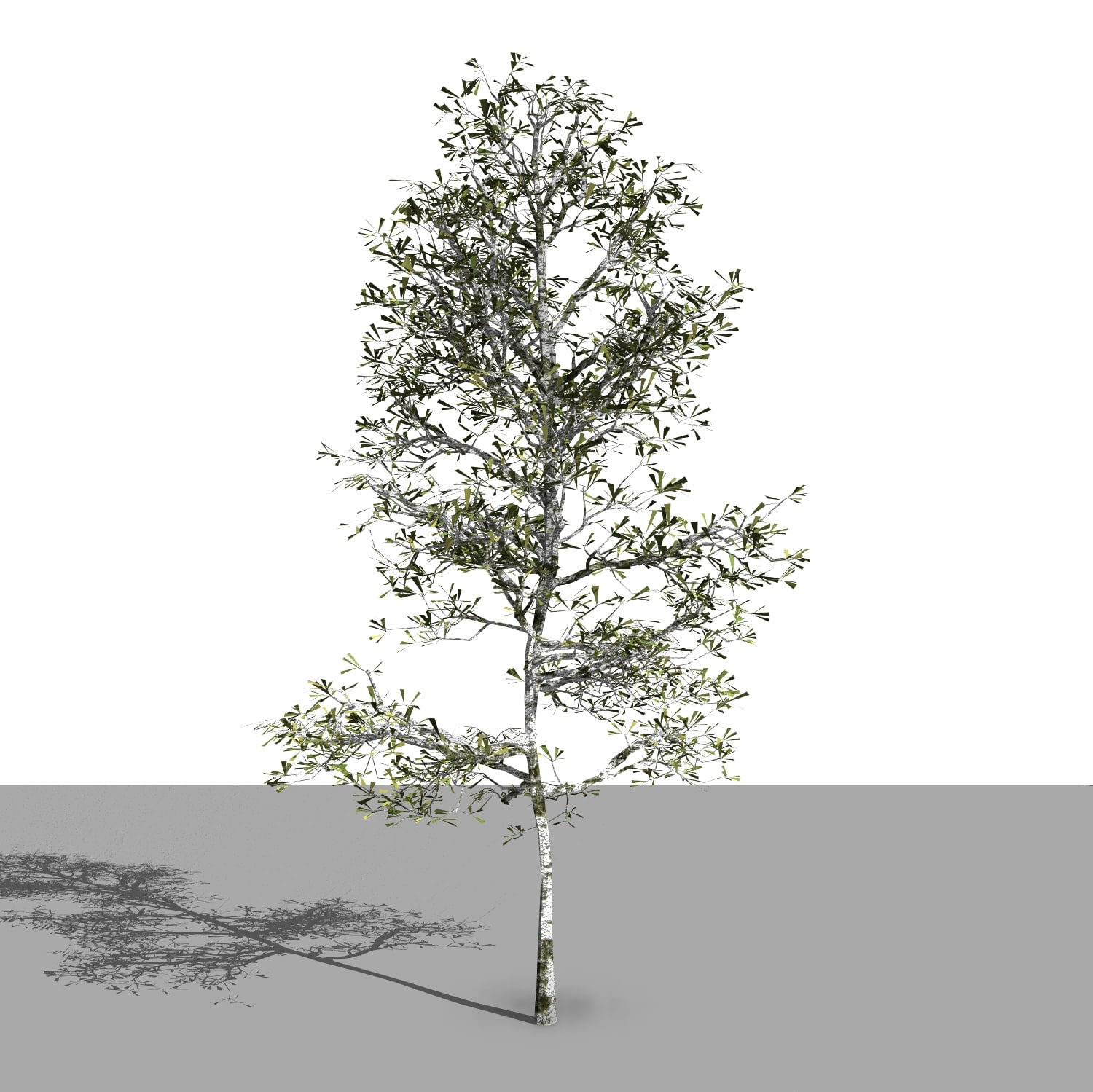 Famille REVIT Arbres paramétriques PACK complet
