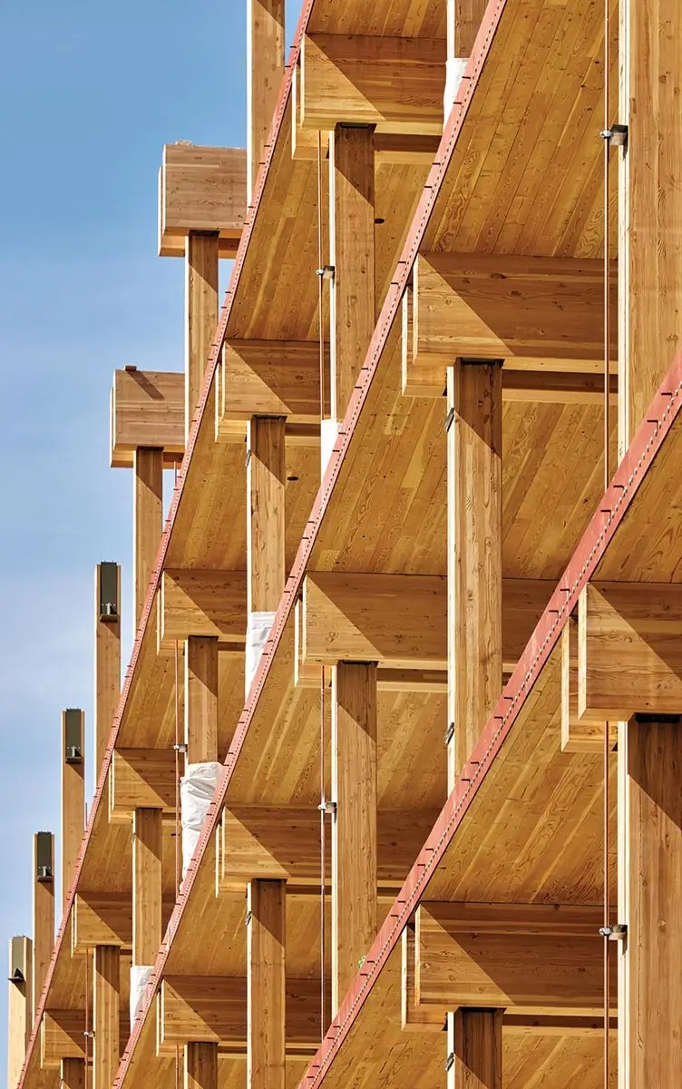 Sourcing Sustainable Timber Starts with the Forest Architectural Record