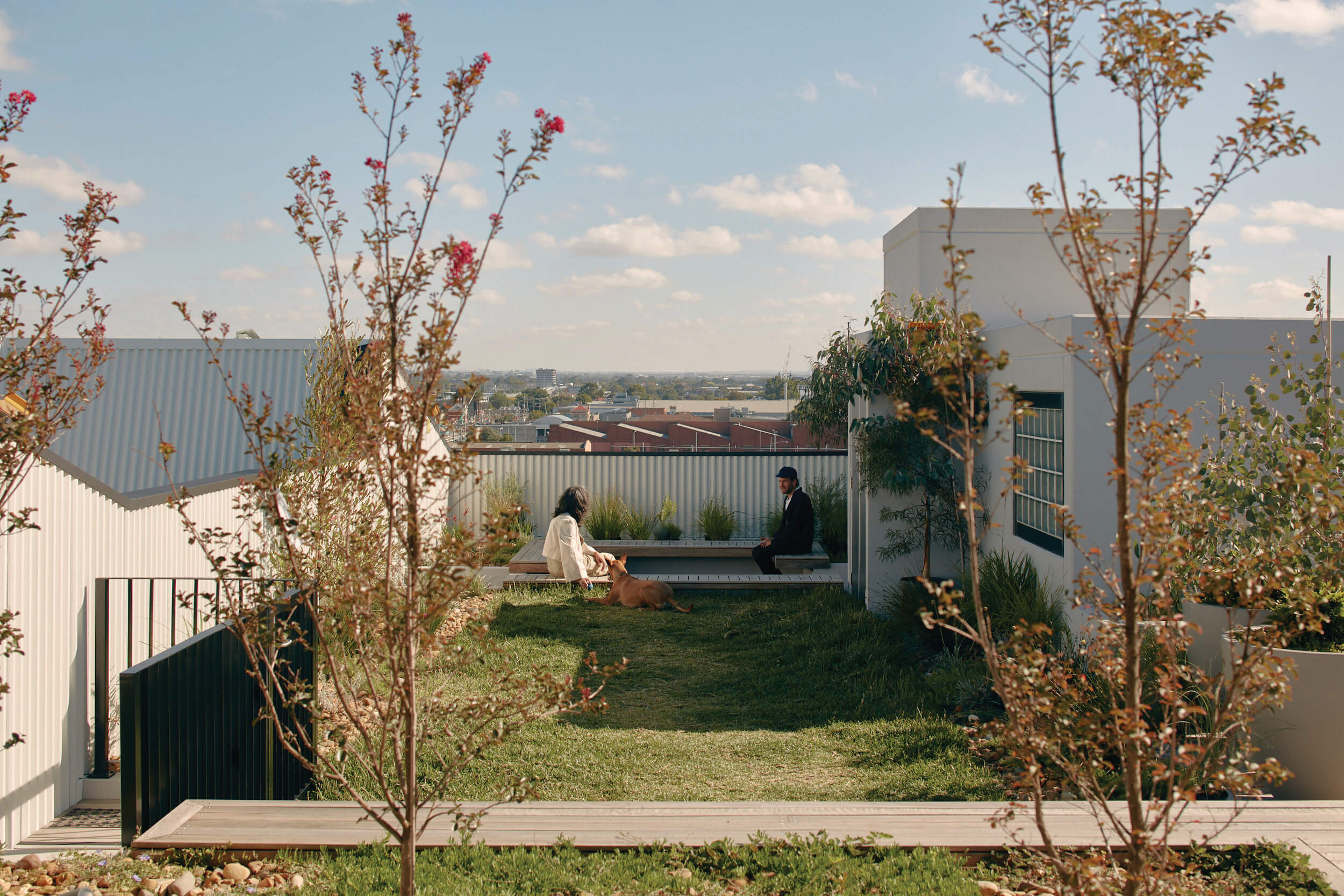 Apartment design guidelines as architecture Australian Institute of