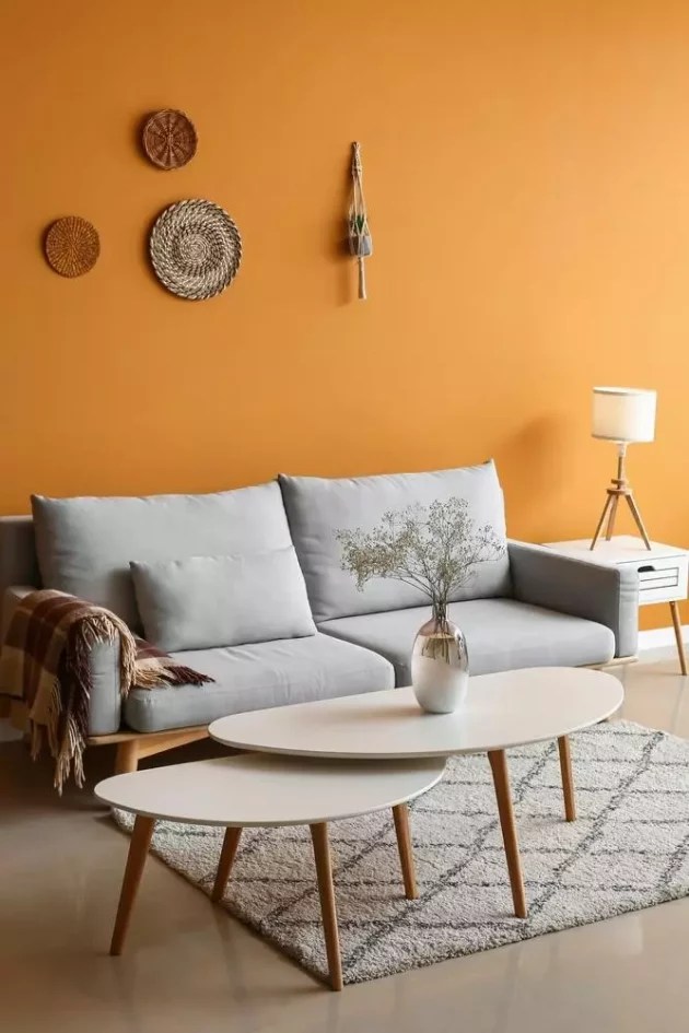 Orange colors to decorate your interior